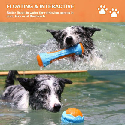 Dog Squeaky Toys