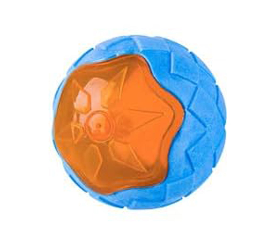 Dog Squeaky Toys