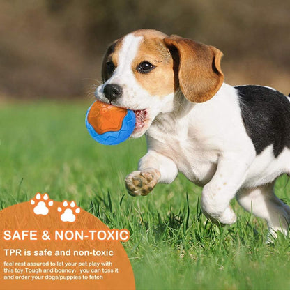 Dog Squeaky Toys